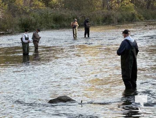 October 18, 2025 Fishing Ganaraska River 1918