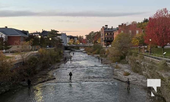 October 25, 2025 Fishing Ganaraska River Port Hope 1999