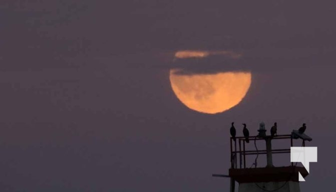 October 6, 2025 Harvet Moon 1467