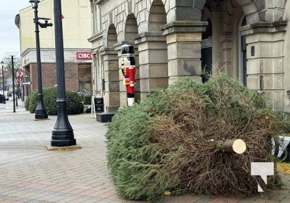 November 12, 2025 Christmas Magic 2618