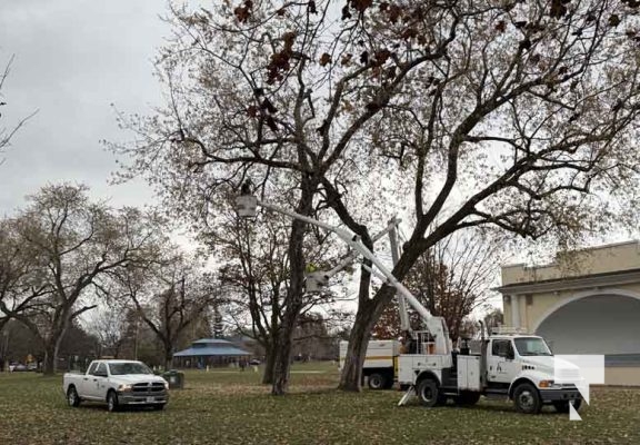 November 12, 2025 Christmas Magic 2625