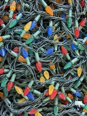 November 12, 2025 Christmas Magic 2629