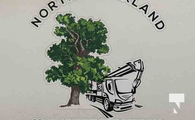 November 14, 2025 Christmas Magic trees 2651