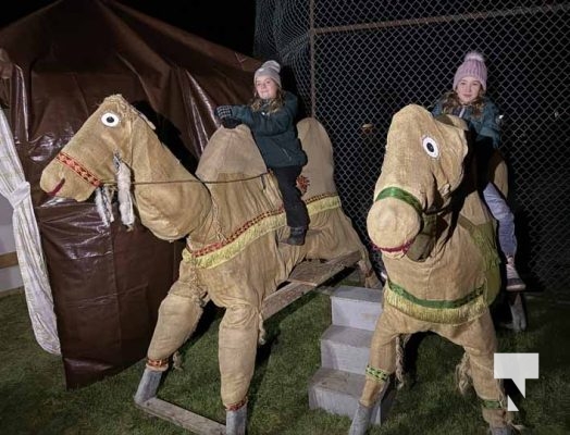 November 16, 2025 Bethlehem Walk Cold Springs 2729