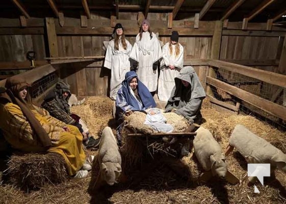 November 16, 2025 Bethlehem Walk Cold Springs 2732