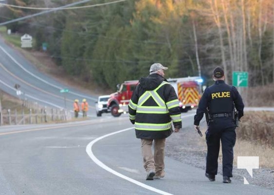 November 20, 2025 Wires Down Lyle Street Grafton 2859