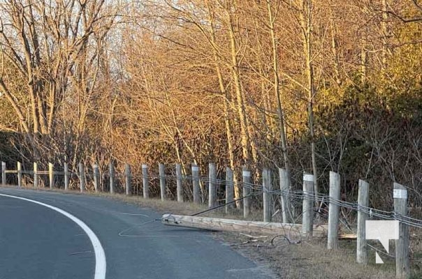 November 20, 2025 Wires Down Lyle Street Grafton 2862