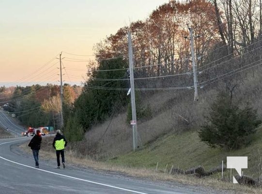November 20, 2025 Wires Down Lyle Street Grafton 2868