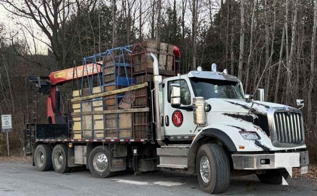 November 20, 2025 Wires Down Lyle Street Grafton 2869