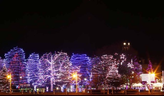 November 21, 2025 Christmas Magic 2880