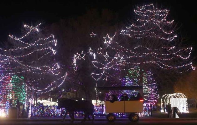 November 21, 2025 Christmas Magic 2884