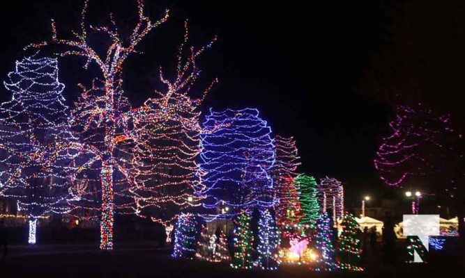 November 21, 2025 Christmas Magic 2885