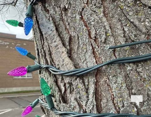 November 23, 2025 Christmas Magic Squirrels 2983