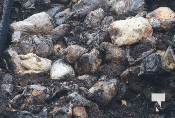 November 23, 2025 Mushroom Fire Quonset Hut Port Hope 2947