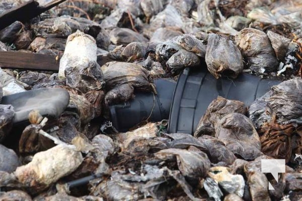 November 23, 2025 Mushroom Fire Quonset Hut Port Hope 2948