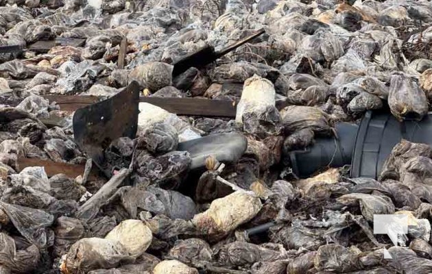 November 23, 2025 Mushroom Fire Quonset Hut Port Hope 2957