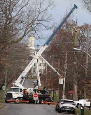 November 25, 2025 Tree Coming Down Cobourg 3000
