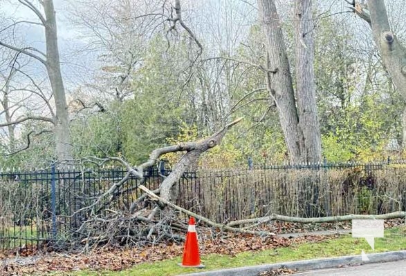 November 27, 2025 Windstorm Damage Cobourg 3068