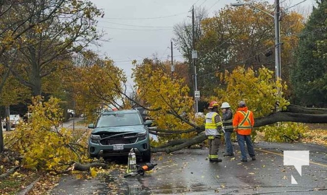 November 3, 2025 Tree Falls On Car Cobourg 2188