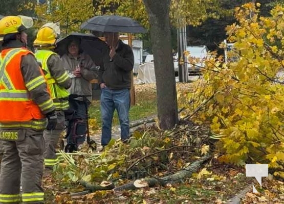 November 3, 2025 Tree Falls On Car Cobourg 2189