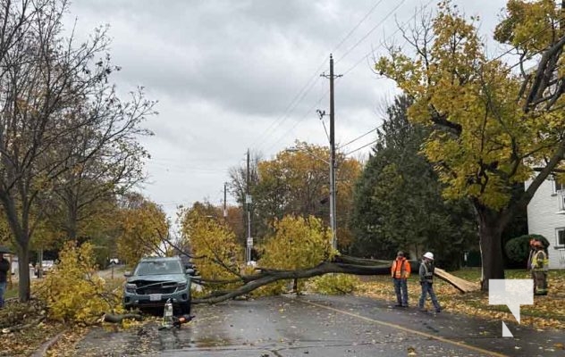 November 3, 2025 Tree Falls On Car Cobourg 2190