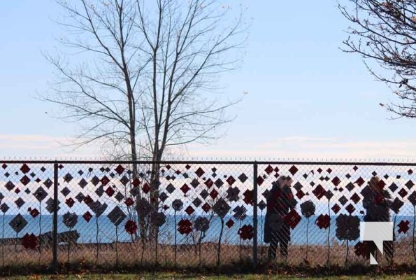 November 8, 2025 Jenny Duda Poppy Fence 2291