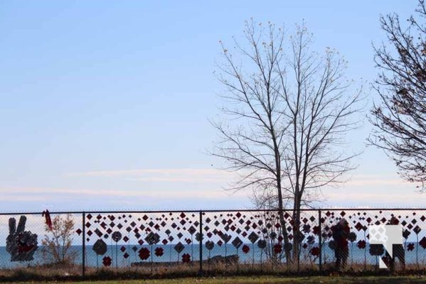 November 8, 2025 Jenny Duda Poppy Fence 2292