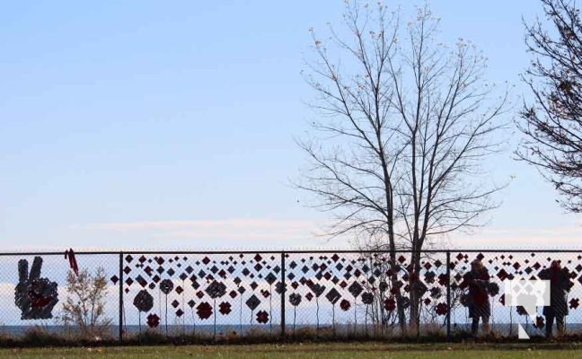 November 8, 2025 Jenny Duda Poppy Fence 2293