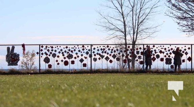 November 8, 2025 Jenny Duda Poppy Fence 2294