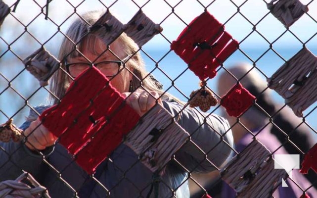 November 8, 2025 Jenny Duda Poppy Fence 2295