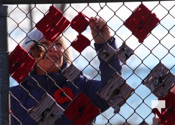 November 8, 2025 Jenny Duda Poppy Fence 2297