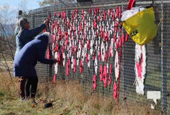 November 8, 2025 Jenny Duda Poppy Fence 2298