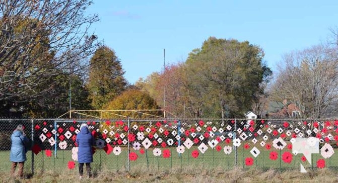 November 8, 2025 Jenny Duda Poppy Fence 2299
