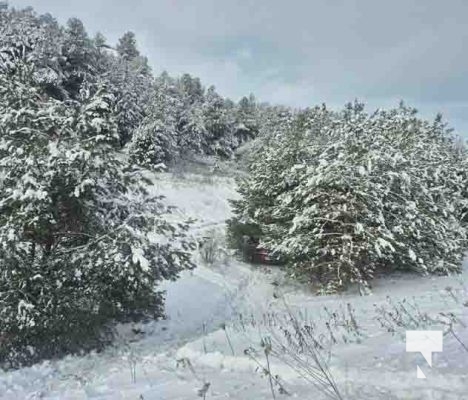 6fb14fde-2611-4c1d-8d75-4651822952ca