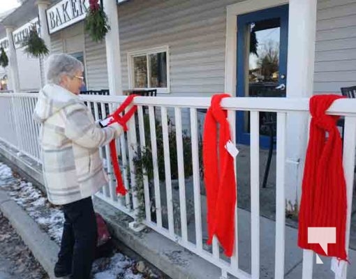 December 1, 2025 Aids Day 3295