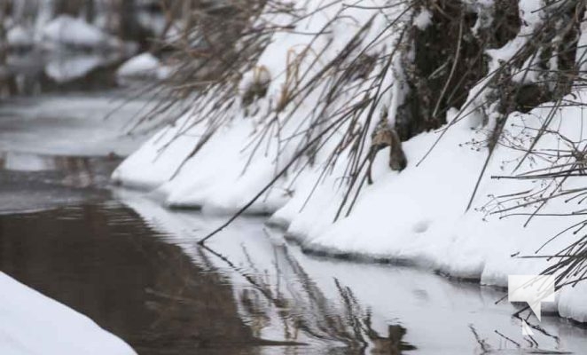 December 27, 2025 Nawautin Winter3748