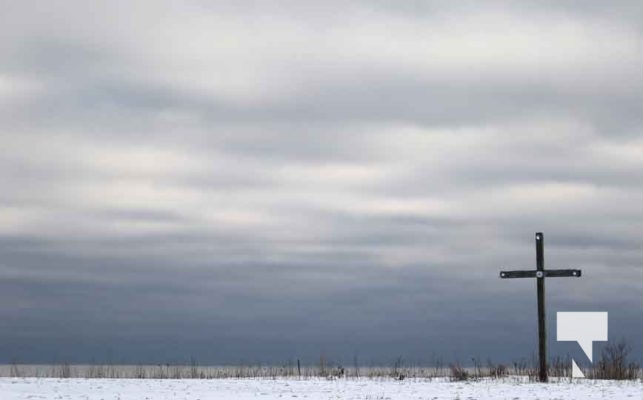 December 27, 2025 Wicklow Cross3743