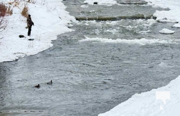 December 28, 2025 Fishing Ganaraska River Port Hope3762