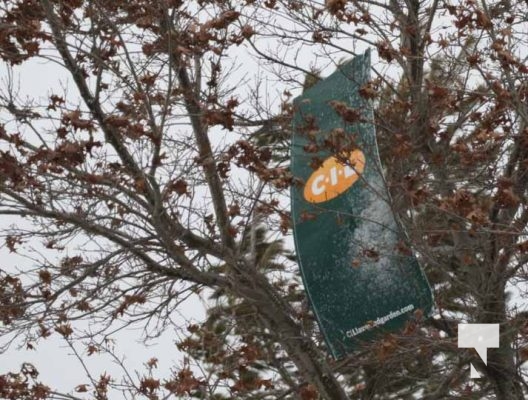 December 29, 2025 Home Depot Tree 3778