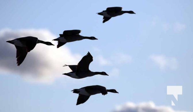 December 30, 2025 Sunset Cobourg Pier Lake Ontario 3855