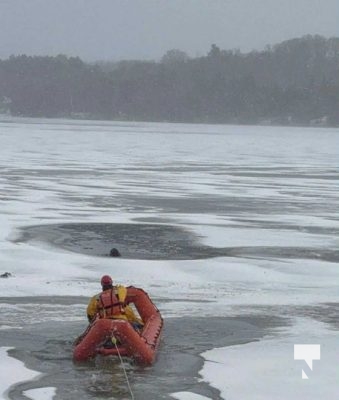 December 4, 2025 Dog Rescue Little Lake3305