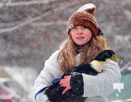 December 7, 2025 Castleton Pet Parade3400