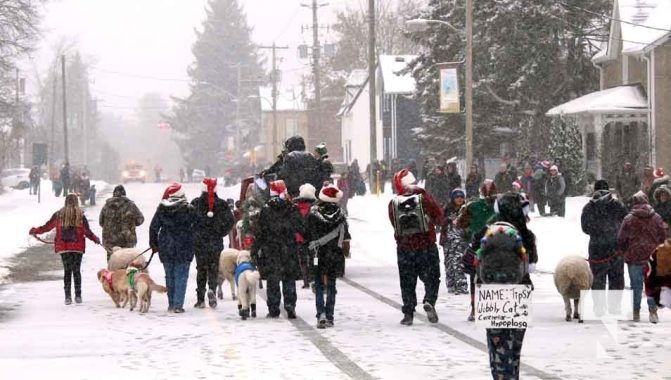 December 7, 2025 Castleton Pet Parade3402