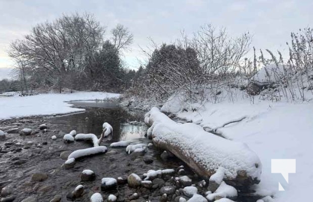 December 7, 2025 Nawautin Sanctuary Grafton3410