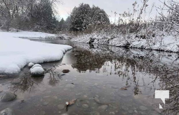 December 7, 2025 Nawautin Sanctuary Grafton3411