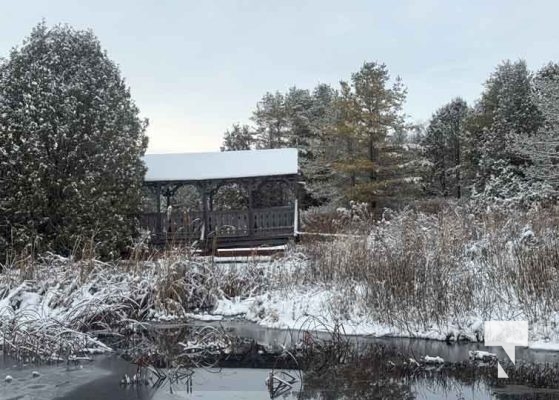 December 7, 2025 Nawautin Sanctuary Grafton3412