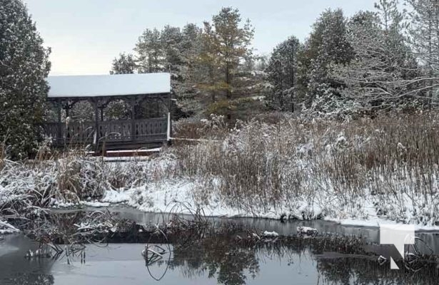 December 7, 2025 Nawautin Sanctuary Grafton3413