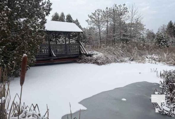 December 7, 2025 Nawautin Sanctuary Grafton3414