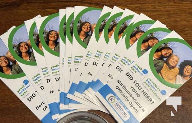 November 26, 2025 Youth Wellness Hub YWHO 3018