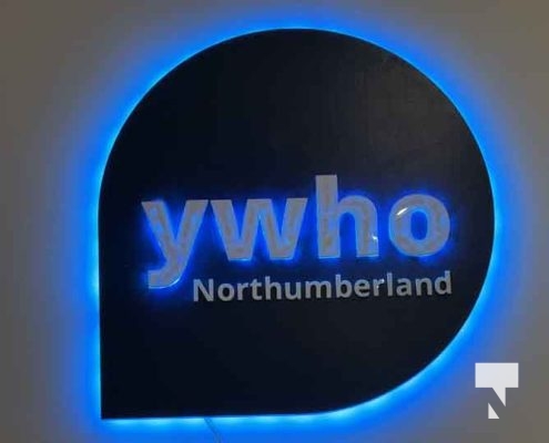 November 26, 2025 Youth Wellness Hub YWHO 3019